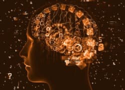 Мышление человека